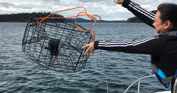 best crabbing by deer harbor without a boat