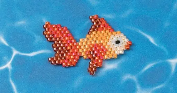 stitchy fish