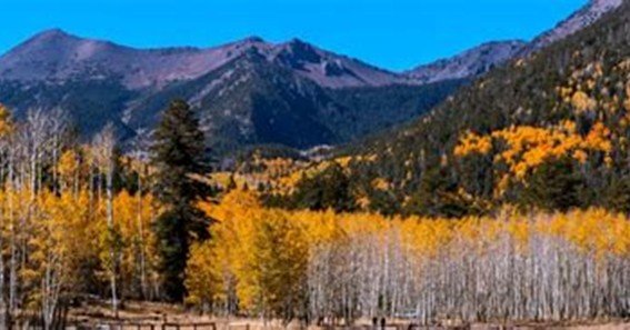aa meetings flagstaff